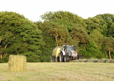 Large Square bales | Craven Bale | Pot Haw Farm