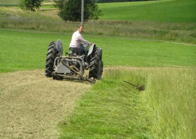 Traditional Baling with Classic Tactor | Pot Haw Farm