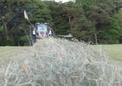 Large hay Rows | Baling | Craven Bale | Pot Haw Farm