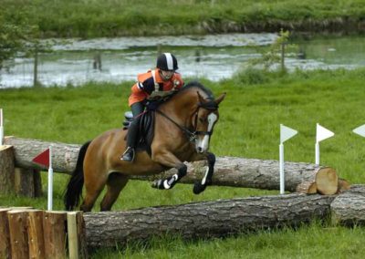 Farm Day Course Jumps | Pot Haw Farm