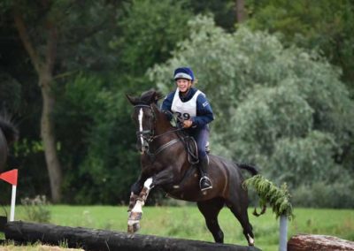 Farm Day Course Jumps | Pot Haw Farm