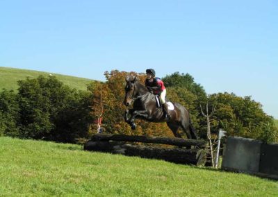 Farm Day Course | Pot Haw Farm