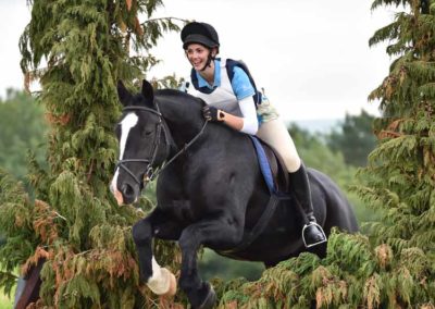 Hedge Jumps | Craven Country Ride | Training Days | Pot Haw Farm