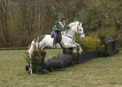 Farm Day Course Jumps | Pot Haw Farm