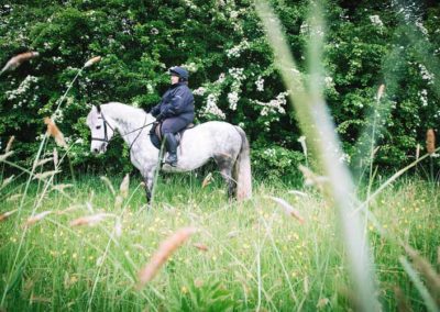 Happy hacking through the yourkshire dales country Side | Pot haw Farm