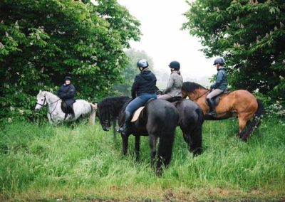 Cross Country Training Days | Craven Country Ride | Pot Haw Farm