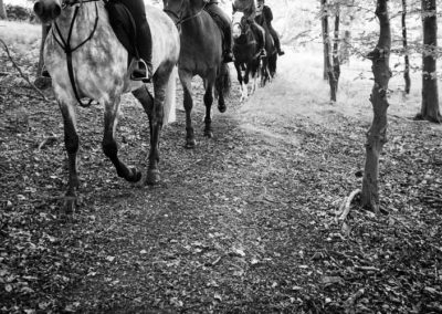 Hacking through the forest | Craven Country Ride | Pot Haw Farm