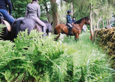 Hacking through the Dales | Craven Country Ride | Pot Haw Farm