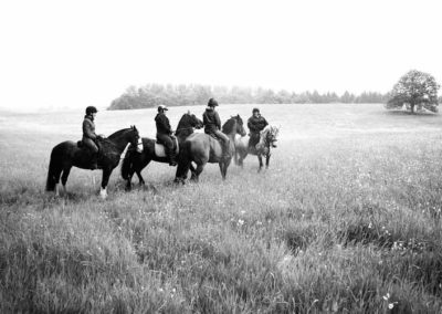 Accompanied Horse Rides | Meadow Ride | Craven Country Ride | Pot Haw Farm