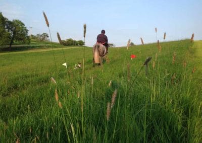 Meadow Hack | Farm Rides | Craven Country Ride | Pot Haw Farm