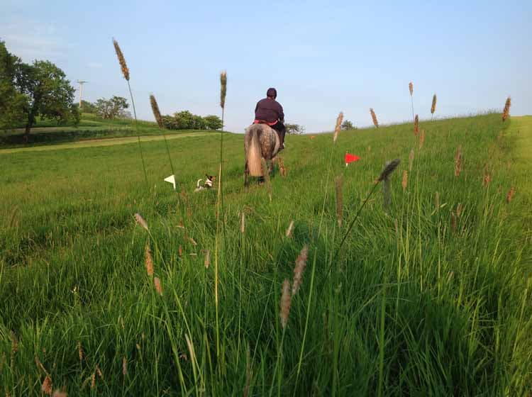 Meadow Hack | Farm Rides | Craven Country Ride | Pot Haw Farm