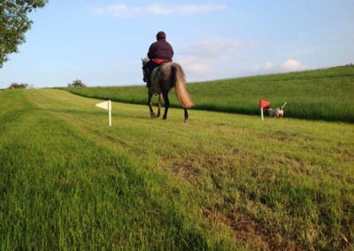 Meadow Hack | Farm Rides | Craven Country Ride | Pot Haw Farm