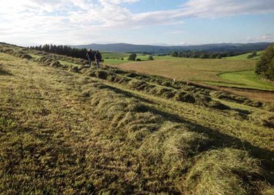 CravenBale Haylage all rowed up | Pot Haw Farm