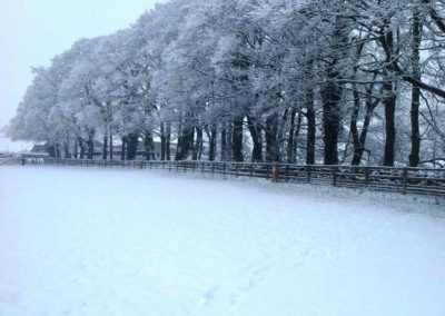 Winter at Pot Haw Farm