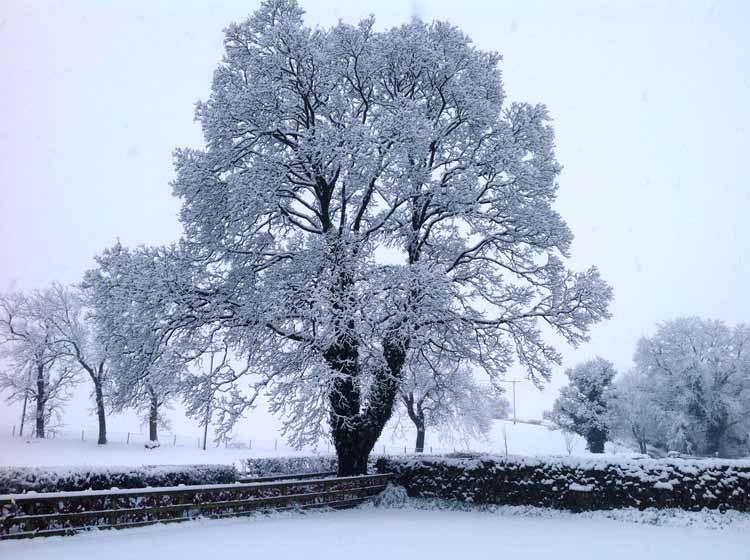 Winter at Pot Haw Farm