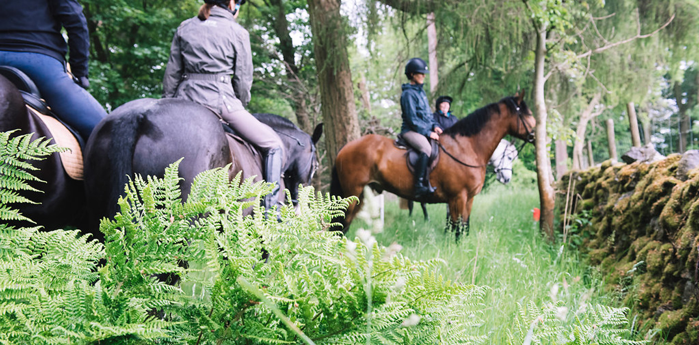  Accompanied Horse Rides | Craven Country Ride | Pot Haw Farm