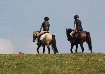 Happy Hackers | Craven Country Rides | Pot Haw Farm