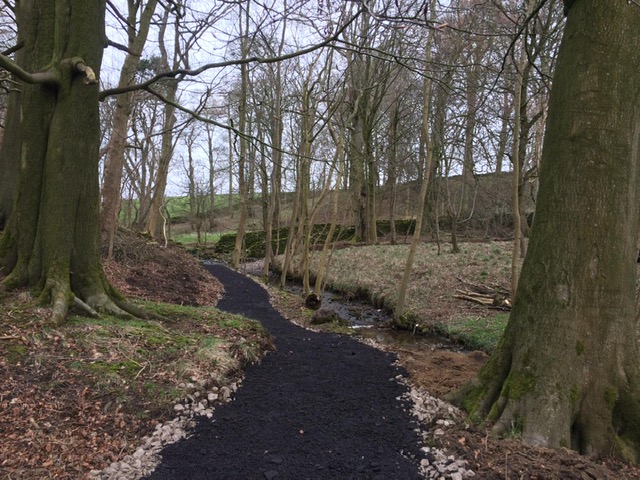 New Woodland Walk